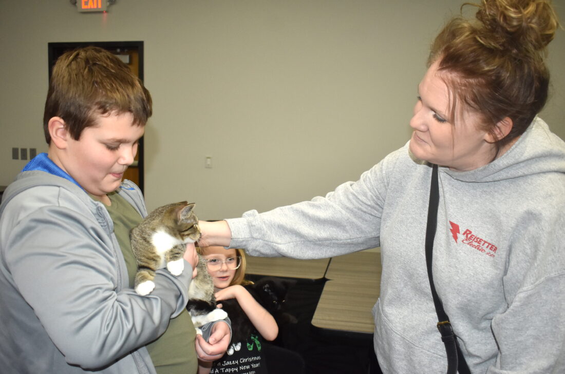 Feline fun News, Sports, Jobs Times Republican